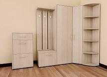 Прихожая Визит 2, фото 2