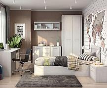 Гостиная Гамма 20 серия 4, фото 2