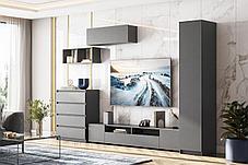 Модульная прихожая Денвер, фото 2