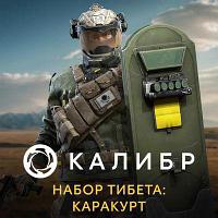 Дополнение к игре 1C GAME STUDIOS Калибр. Набор Тибета: Каракурт, для ПК, регион: Россия, RUS (интерфейс и