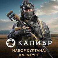 Дополнение к игре 1C GAME STUDIOS Калибр. Набор Султана: Каракурт, для ПК, регион: Россия, RUS (интерфейс и