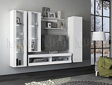 Модульная гостиная Флорис комплект 1, фото 2