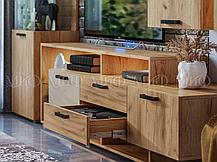 Модульная гостиная Алтея - вариант 4, фото 3