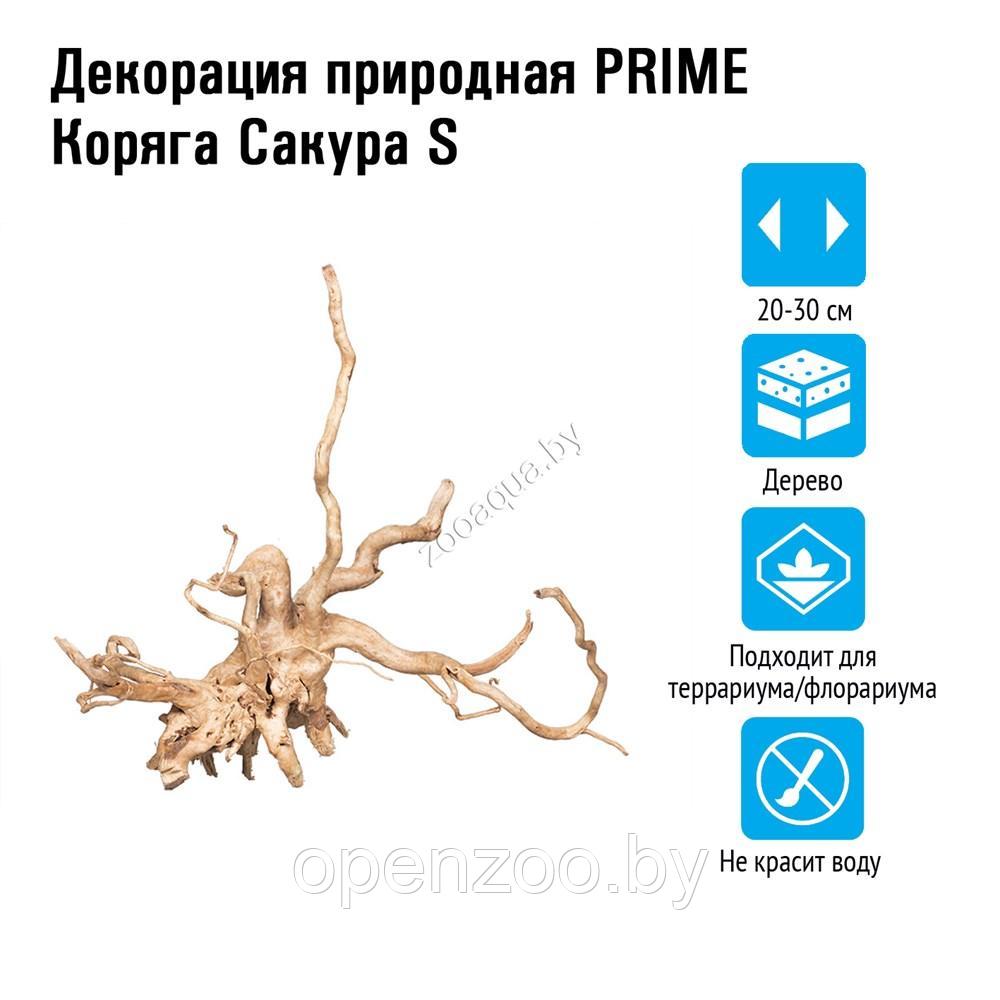 Коряга сакура S 20-30 см (натуральная)