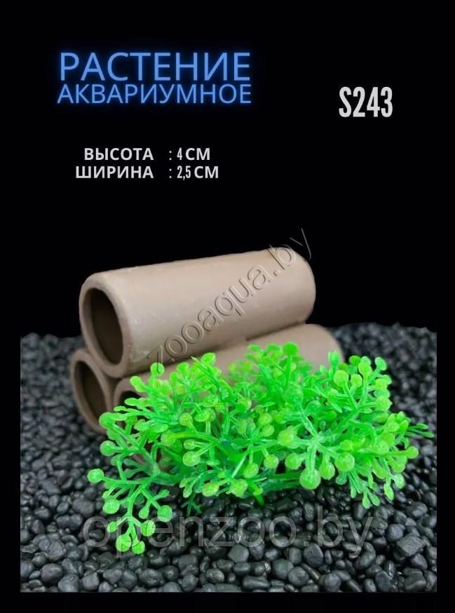 Водоросли аквариумные искусственные ZooAqua S243 2.5x4 см