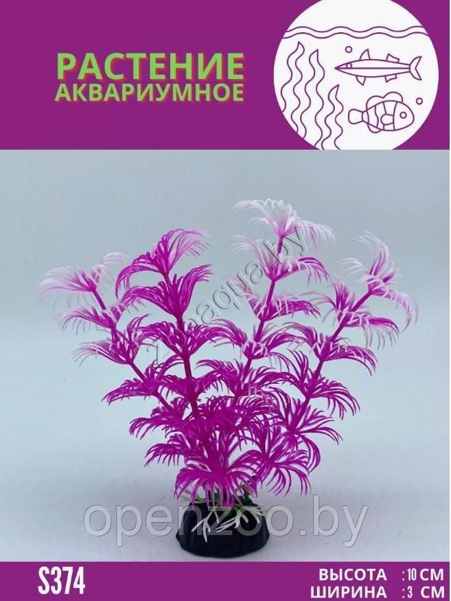 Водоросли аквариумные искусственные ZooAqua S374 10x3 см