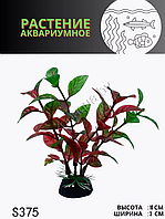 Водоросли аквариумные искусственные ZooAqua S375, 10 см