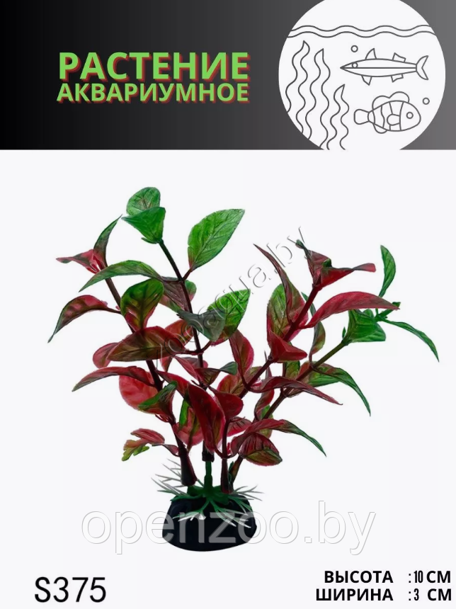 Водоросли аквариумные искусственные ZooAqua S375, 10 см