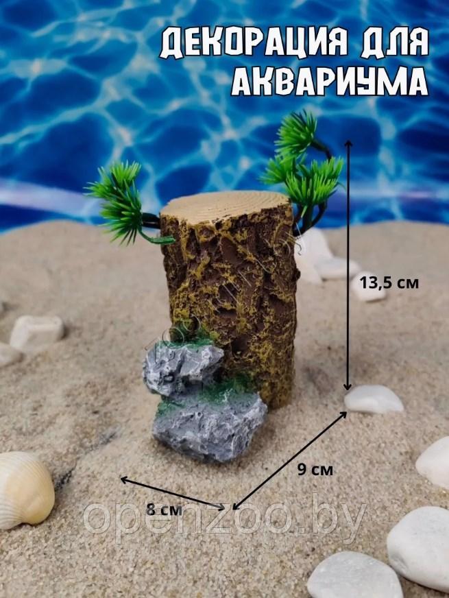 Декорация для аквариума акриловая ZooAqua Коряга пень 9х8 см