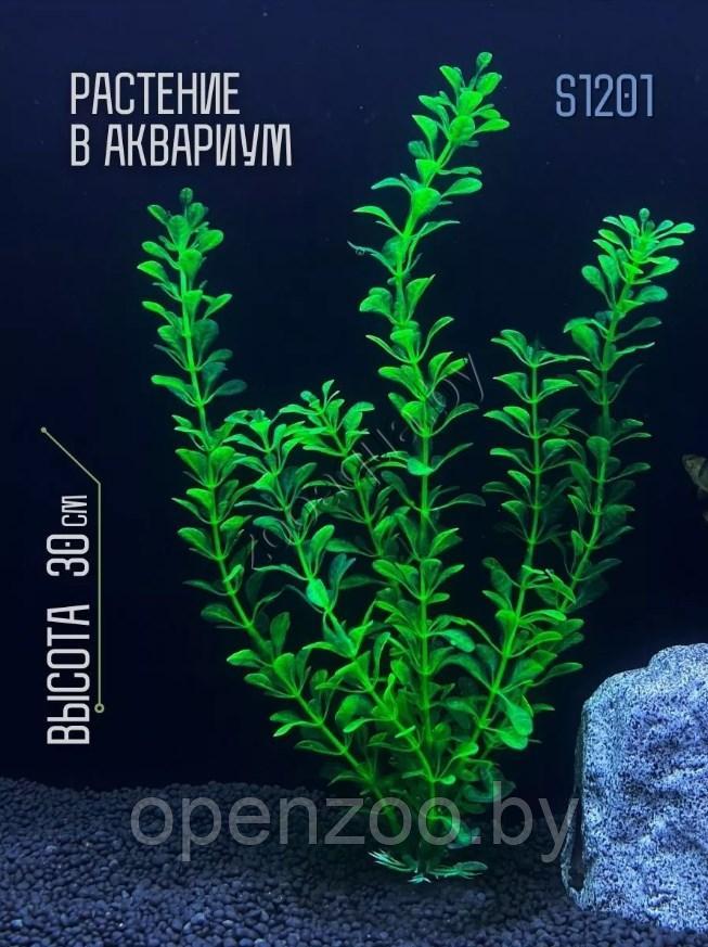Искусственное растение для аквариума и террариума ZooAqua S1201, 30 см