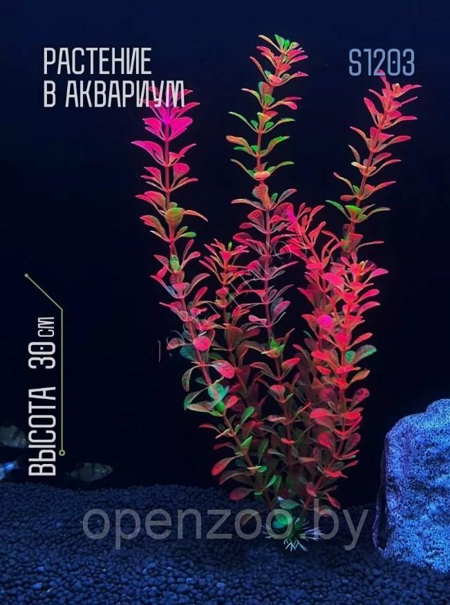 Искусственное растение для аквариума и террариума ZooAqua S1203, 30 см