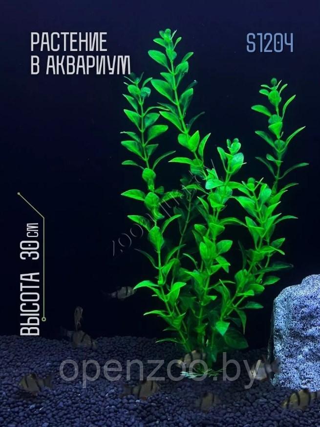 Искусственное растение для аквариума и террариума ZooAqua S1204, 30 см