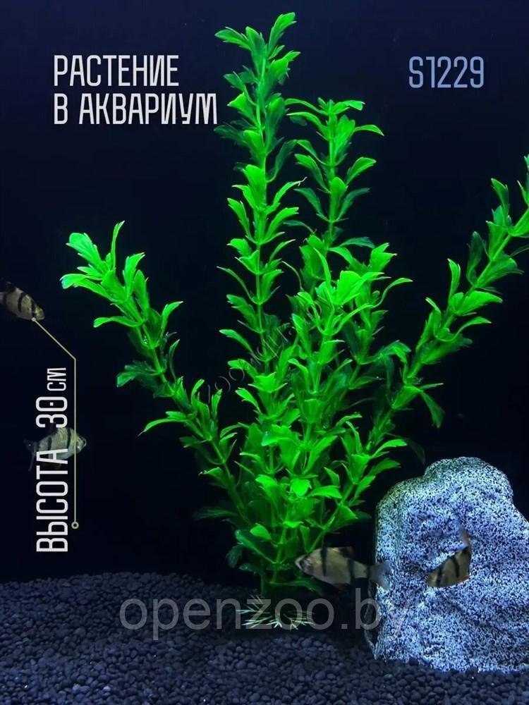 Искусственное растение для аквариума ZooAqua S1229, 30 см, керамика, пластик