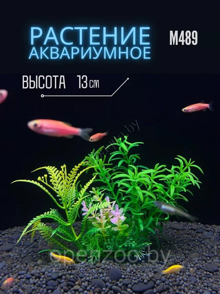 Искусственное растение для аквариума ZooAqua М489, 13x8x5 см, светло-розовый, зеленый, салатовый