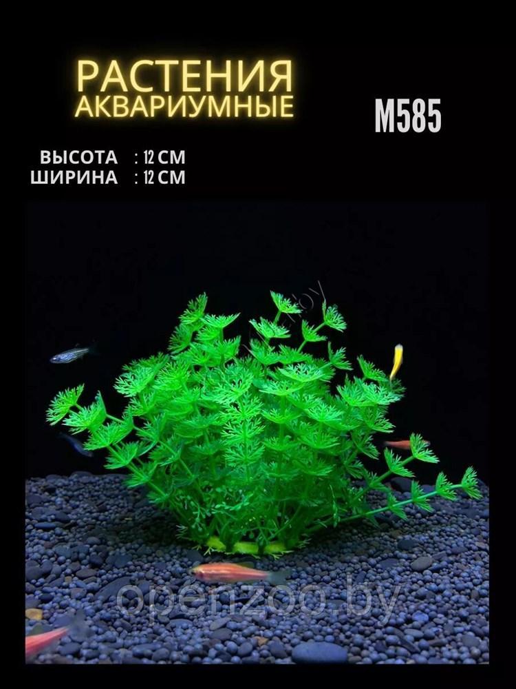 Искусственное растение для аквариума ZooAqua M585, 12x12 см, зеленый