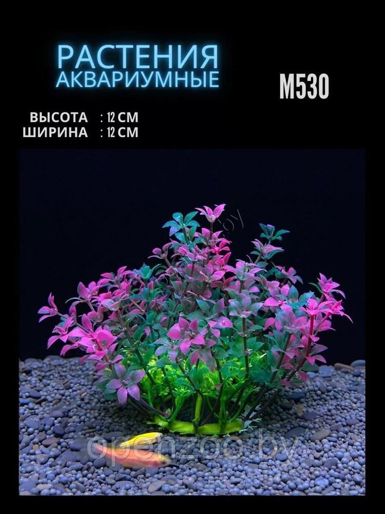 Искусственное растение для аквариума ZooAqua M530, 12x12 см, разноцветное