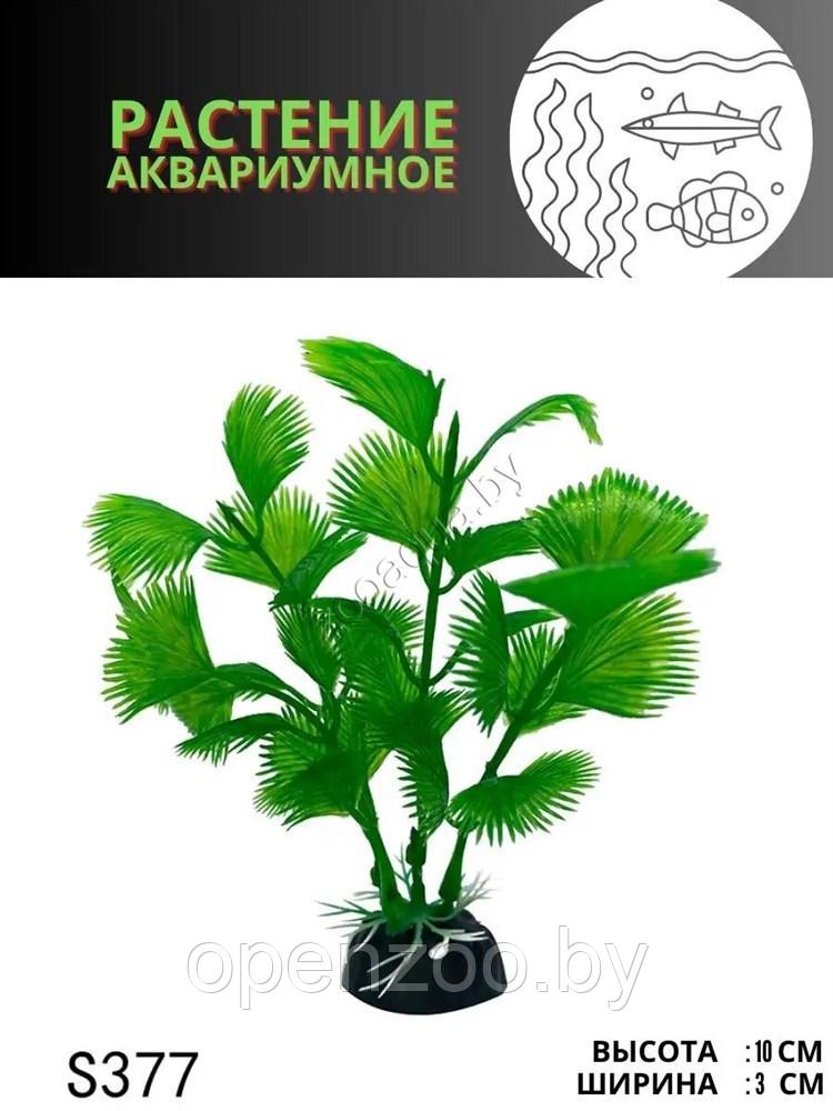 Искусственное растение для аквариума ZooAqua S377, 3x10 см, зеленый, пластик