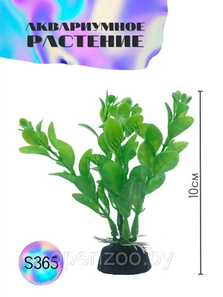 Искусственное растение для аквариума ZooAqua S365, 10 см, керамика, пластик