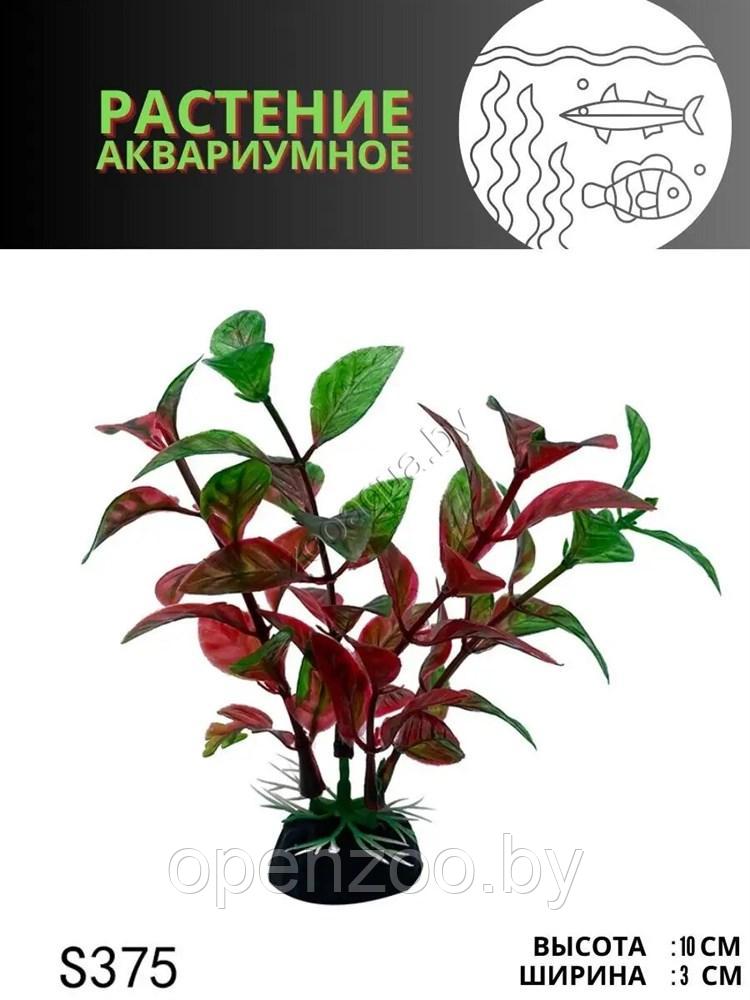 Искусственное растение для аквариума ZooAqua S375, 3х10 см, пластик, зелено-бордовое