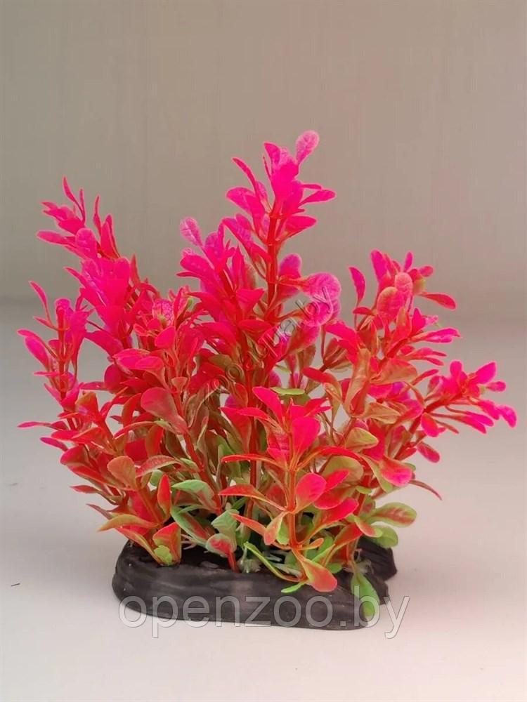 Искусственное растение для аквариума ZooAqua Ф403, 7х15х12 см, пластик, керамика, разноцветное, фото 1