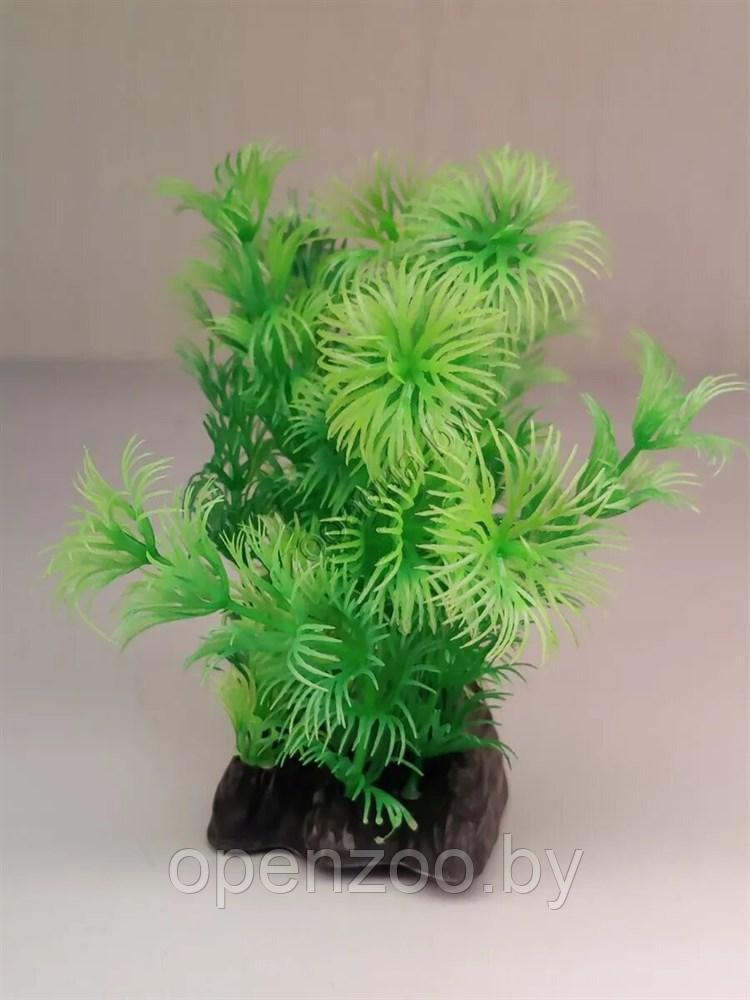 Искусственное растение для аквариума ZooAqua Ф411, 13х13х8 см, пластик, керамика, зеленое, фото 1