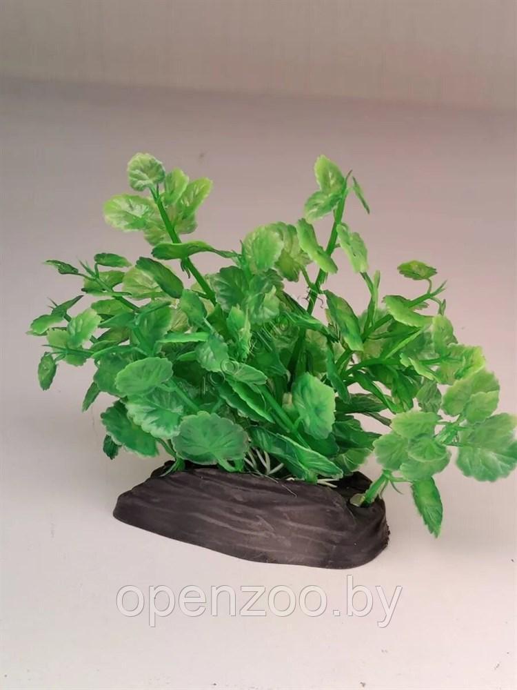 Искусственное растение для аквариума ZooAqua Ф413, 7х12х15 см, пластик, керамика, зеленое