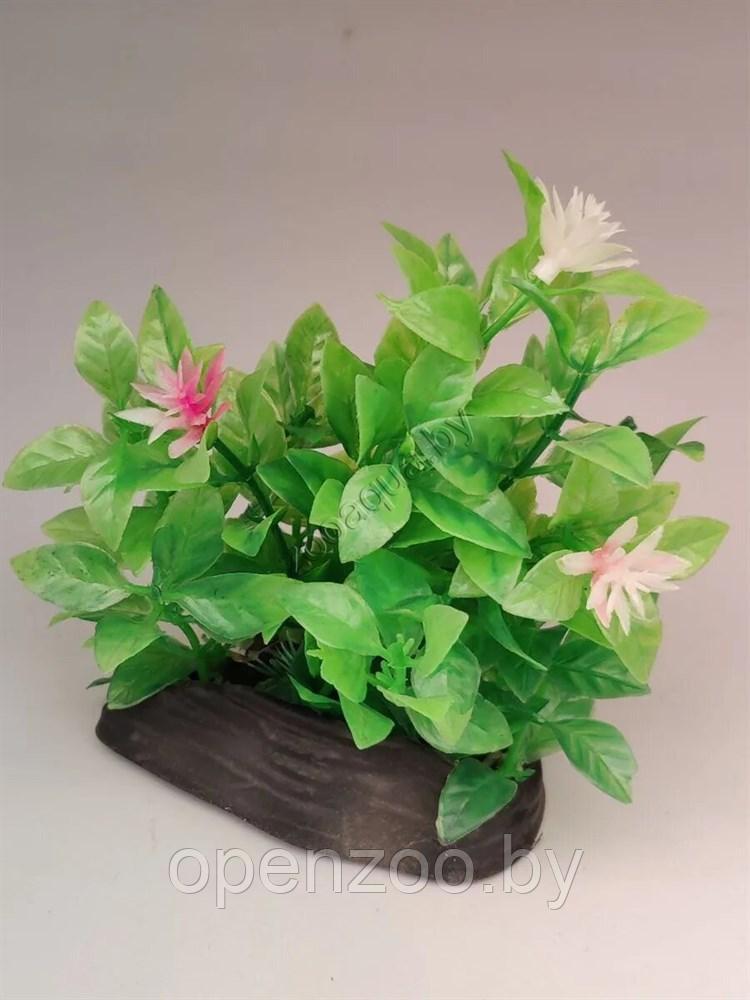 Искусственное растение для аквариума ZooAqua Ф49, 12х13х7 см, пластик, керамика, разноцветное, фото 1