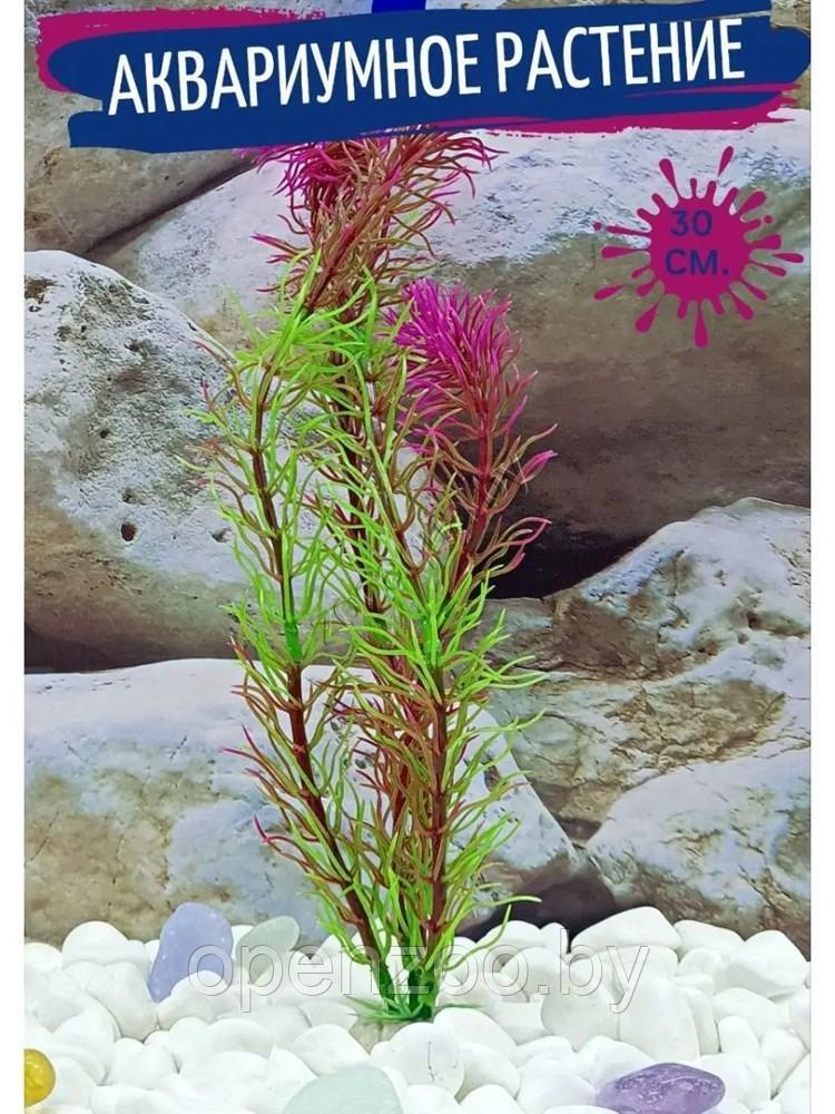 Искусственное растение для аквариума и террариума ZooAqua, зелено-фиолетовое, 30 см