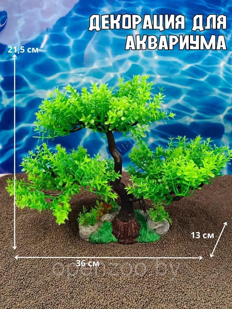 Декорация для аквариума и террариума ZooAqua Дерево, коричнево-зеленая, 36х13х21,5 см, фото 1