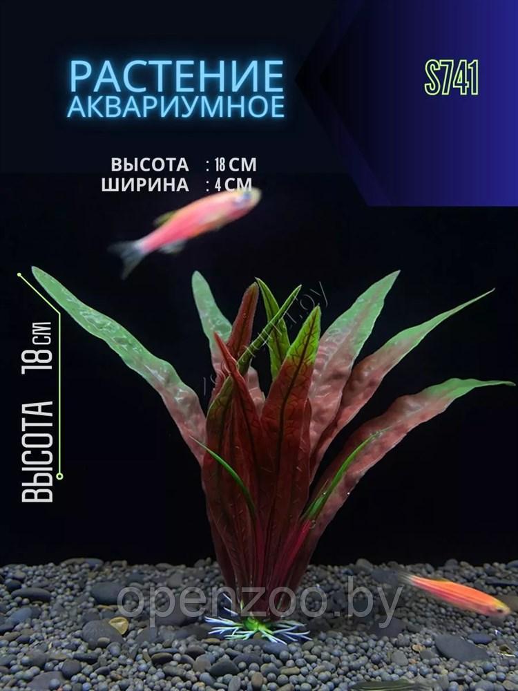 Искусственное растение для аквариума ZooAqua S741, 18х4х3 см