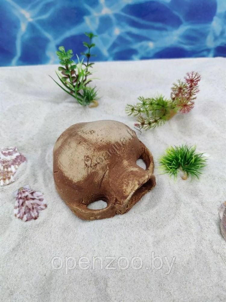 Керамический декор для аквариума Амфора ZooAqua №148 10x10 см, глина