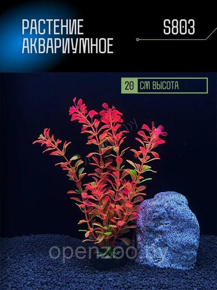 Искусственное растение для аквариума ZooAqua S803 20 см, керамика и пластик