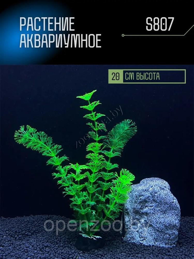 Искусственное растение для аквариума ZooAqua S807 20 см, керамика и пластик