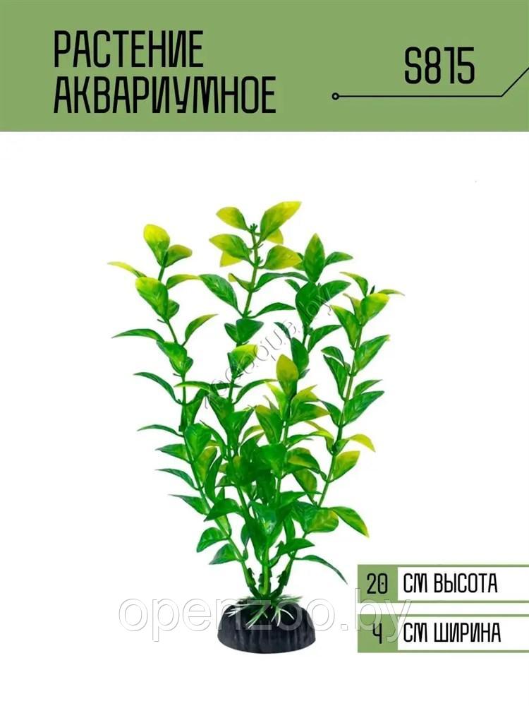 Искусственное растение для аквариума ZooAqua S815 20 см, керамика и пластик