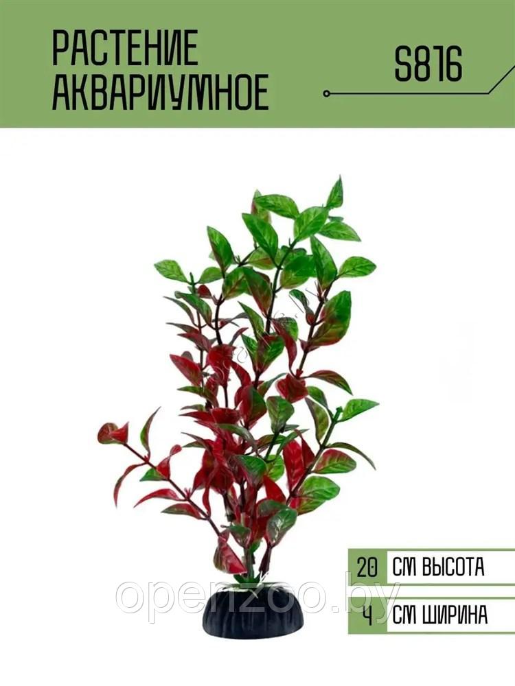 Искусственное растение для аквариума ZooAqua S816 20 см, керамика и пластик