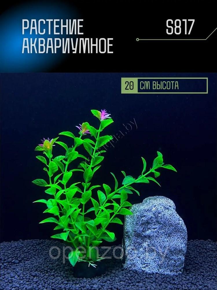 Искусственное растение для аквариума S817 ZooAqua, 20 см, керамика и пластик