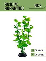 Искусственное растение для аквариума S825 ZooAqua, 20 см, керамика и пластик