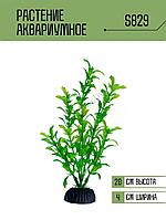 Искусственное растение для аквариума ZooAqua S829 20 см, керамика и пластик