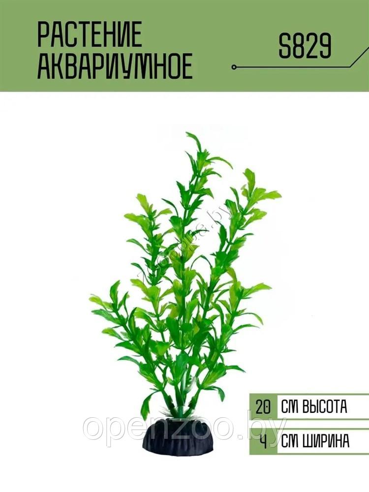 Искусственное растение для аквариума ZooAqua S829 20 см, керамика и пластик
