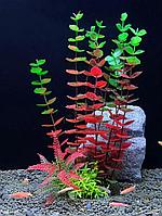 Искусственное растение для аквариума ZooAqua C-1158 8x5x28 см, керамика и пластик