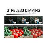 Осветитель YC Onion Brownie LED CCT Белый, фото 3