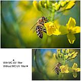 Светофильтр K&F Concept Blue coat MCUV 72мм, фото 6