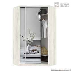 Шкаф-купе Сенатор угловой ШК30