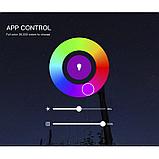 Осветитель DigitalFoto P200 RGB, фото 8