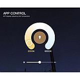 Осветитель DigitalFoto P200 RGB, фото 9