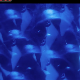 Светофильтр Freewell Sherpa Kaleidoscope, фото 3