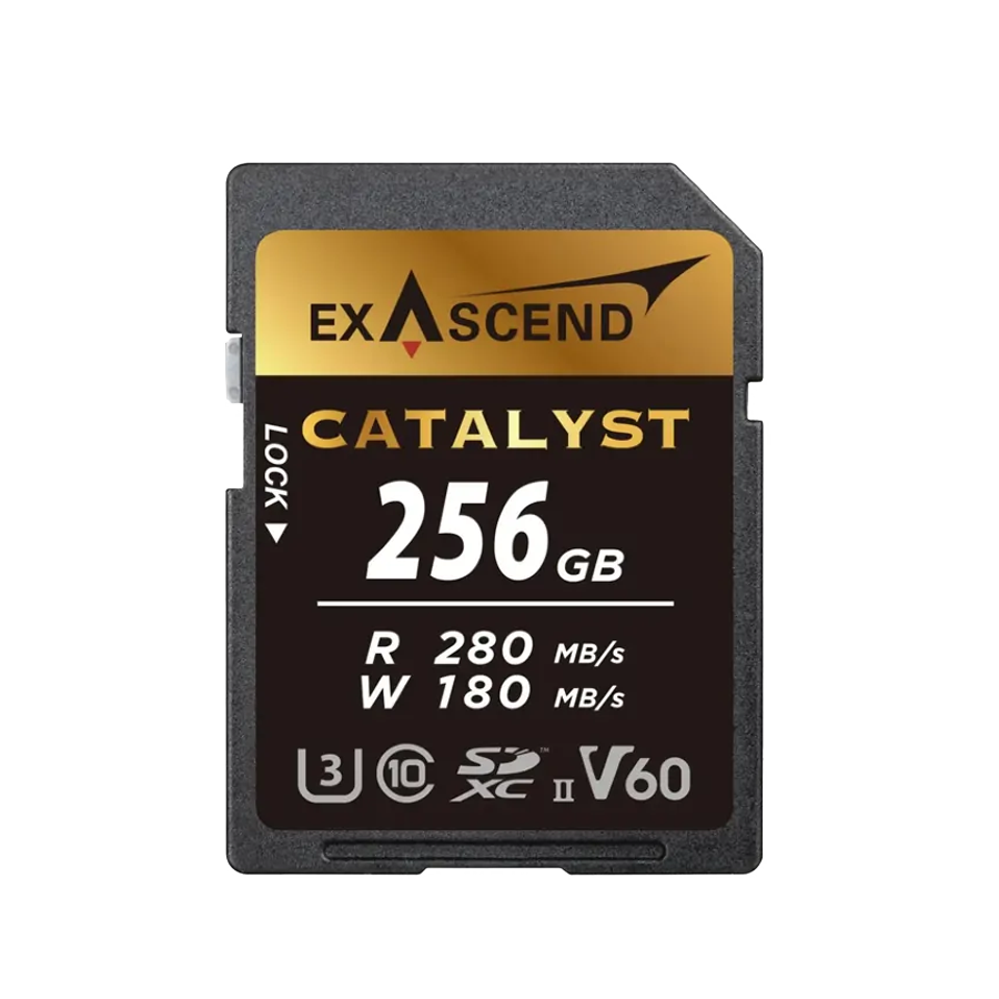 Карта памяти Exascend Catalyst UHS-II SD V60 256GB