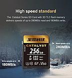 Карта памяти Exascend Catalyst UHS-II SD V60 256GB, фото 2