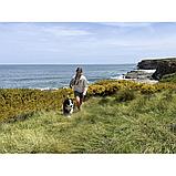 Стабилизатор DJI Osmo Mobile 7, фото 7