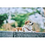 Объектив TTArtisan 50mm F0.95 EF-M, фото 9